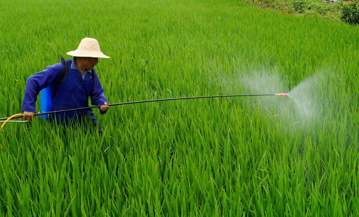 鑫源植保無(wú)人機(jī)為現(xiàn)代農(nóng)業(yè)助力